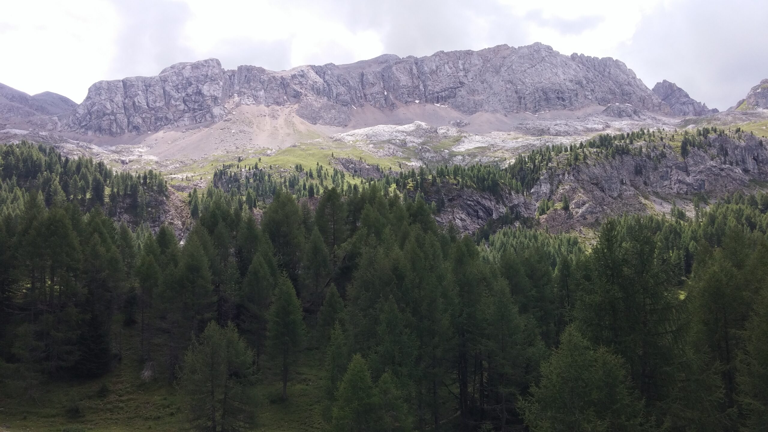 Studio Vidé - Dr. Agr. Francesco Vidé, dottore agronomo, libero professionista, Desio, Monza e Brianza, Lombardia - Obiettivi, immagine paesaggio di montagna con bosco di abeti e larici