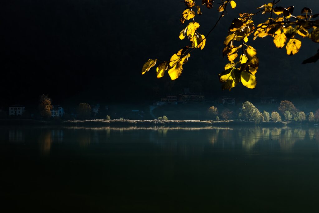 Studio Vidé - Dr. Agr. Francesco Vidé, dottore agronomo, libero professionista, Desio, Monza e Brianza, Lombardia - Home, immagine lago specchio con ramo albero in autunno