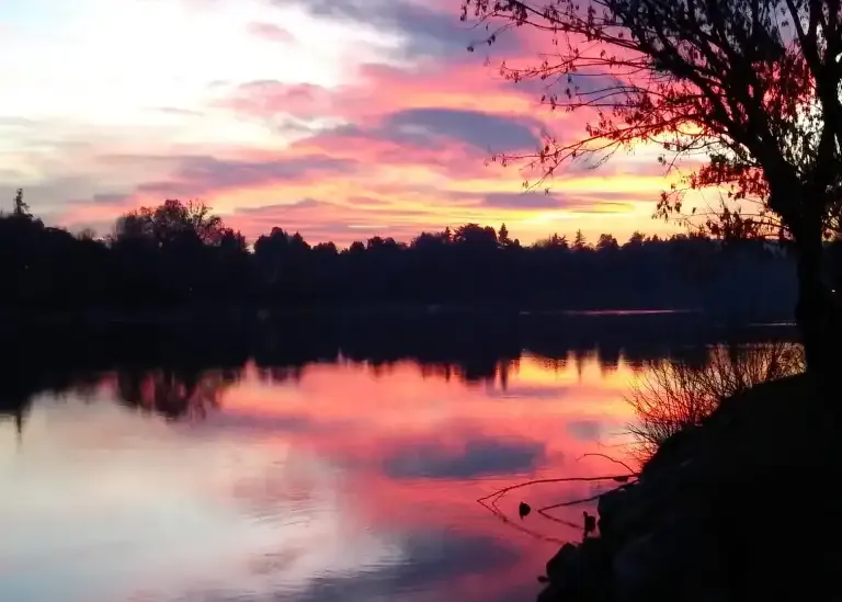 Studio Vidé - Dr. Agr. Francesco Vidé, dottore agronomo, libero professionista, Desio, Monza e Brianza, Lombardia - Attività, immagine tramonto su paesaggio di lago