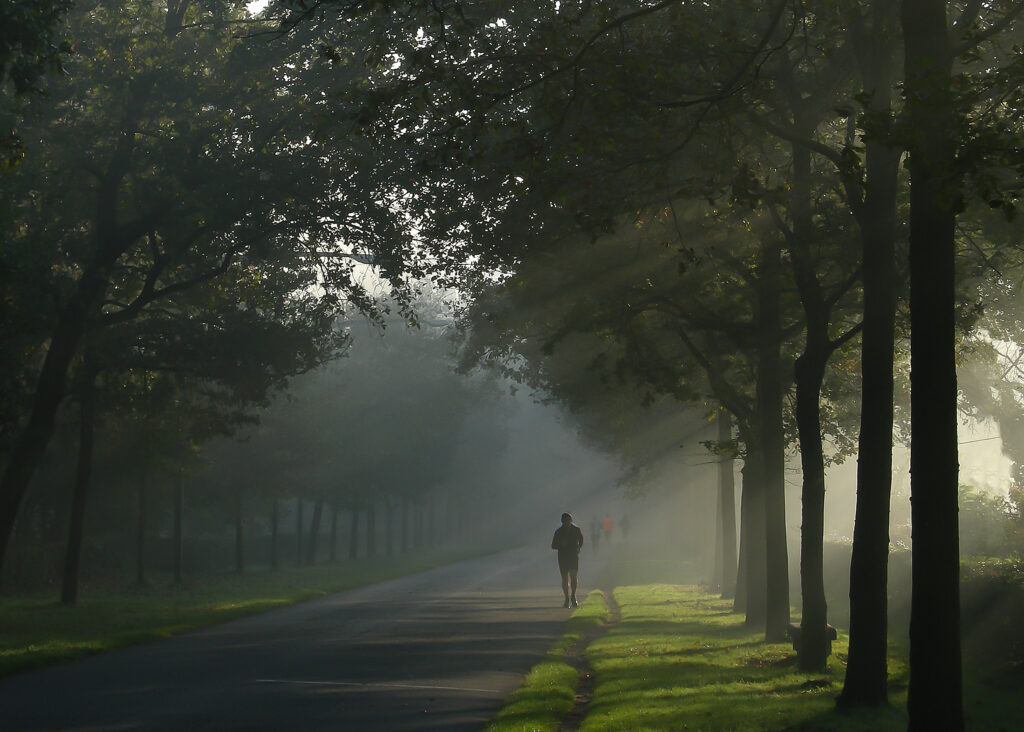 Studio Vidé - Dr. Agr. Francesco Vidé, dottore agronomo, libero professionista, Desio, Monza e Brianza, Lombardia - Attività, immagine persona corre su strada nel parco all'alba